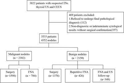 The use of modified TI-RADS using contrast-enhanced ultrasound features for classification purposes in the differential diagnosis of benign and malignant thyroid nodules: A prospective and multi-center study